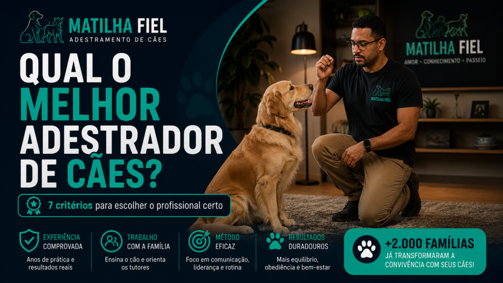 QUAL O MELHOR ADESTRADOR DE CÃES?