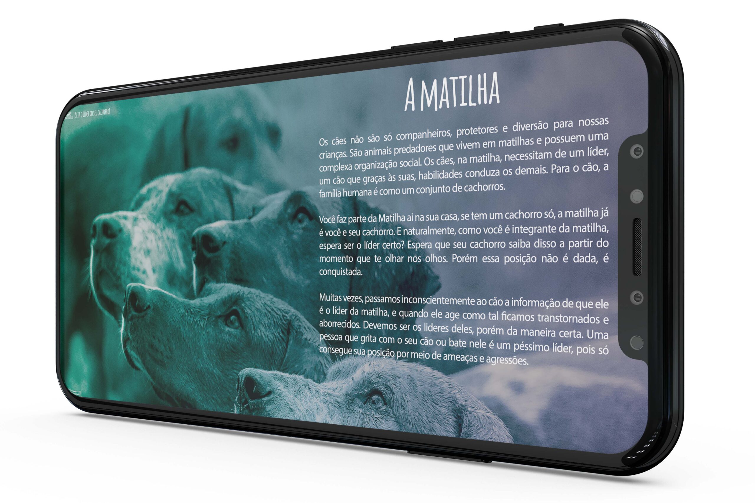 Ebook Seja o Líder da Matilha